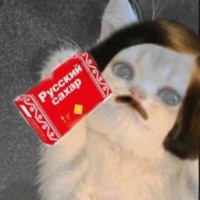 gogol1034948
