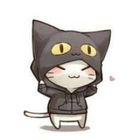 user71490240
