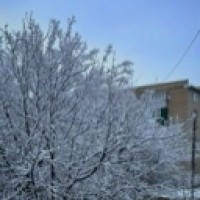anechka2866