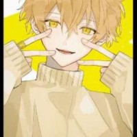 user63618734