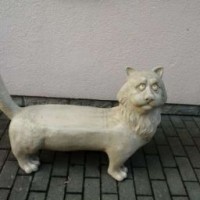 cat-kitty-mey