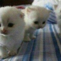 sweetyway
