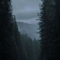 shxghvd3554