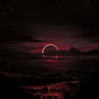 nikia-zest