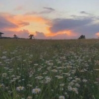 davetheblack