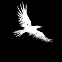the-black-goose