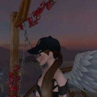 user84830115