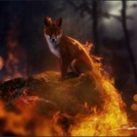 fox200512