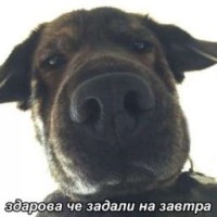 danilnedanil