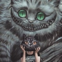 kiracatwell
