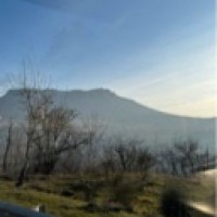 softal-07
