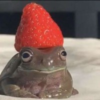 mdnbkrv