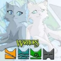 catswarriors9