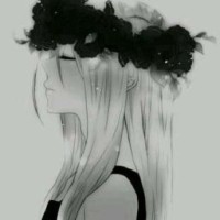 anime-00000000-1