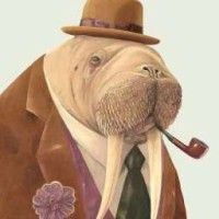 walrus-stas