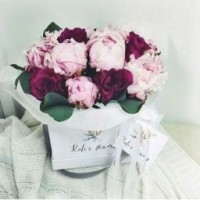pion-flower