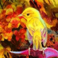 canaryfuture