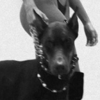 blackkiller-a