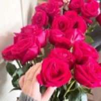 missstory