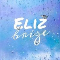 elizbrize