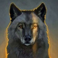 wolfciti
