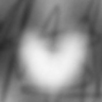 user58075975
