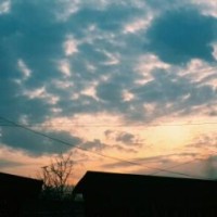 windynight