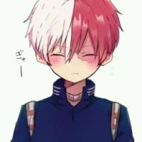 animeshnitsanya