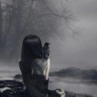 the-black-crow13