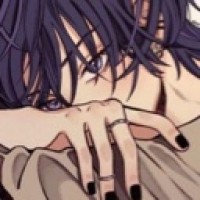 user81255186