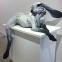 diedunhappy