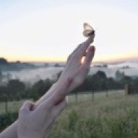 ironbutterflies
