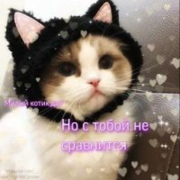 jvcreate