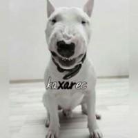 kaxarec