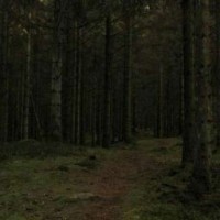 chilolan-daria