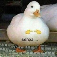 mkkkkr
