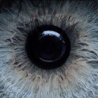 my-ocean-is-in-eyes