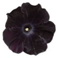 user00028114