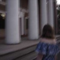 alicek17