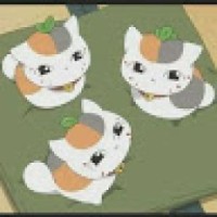 loveanimeandcats