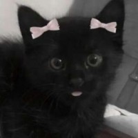 kiss-lov-e