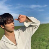 koreinytay