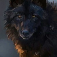 alonewolf