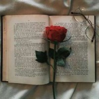 allforstorieslove
