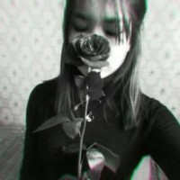 dyoon-666