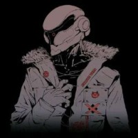 assaultice