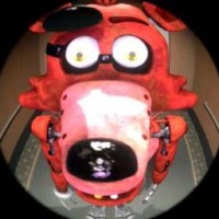 user06205996