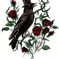 raven-sagittarius912