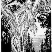 siren-belaya