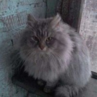 vasia007qazwsx